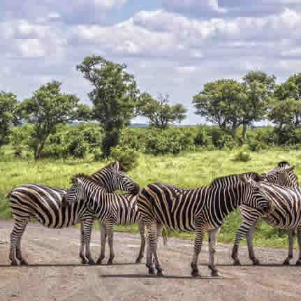 Akagera Wildlife Safaris