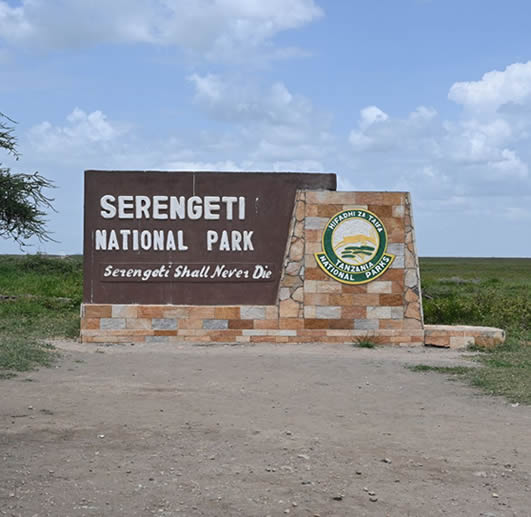 Serengeti Willdife Safaris and Self drive