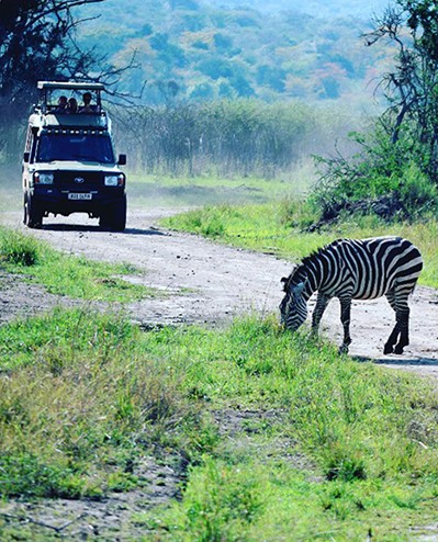 Self-drive safaris are a relatively recent phenomenon in national parks throughout Africa.