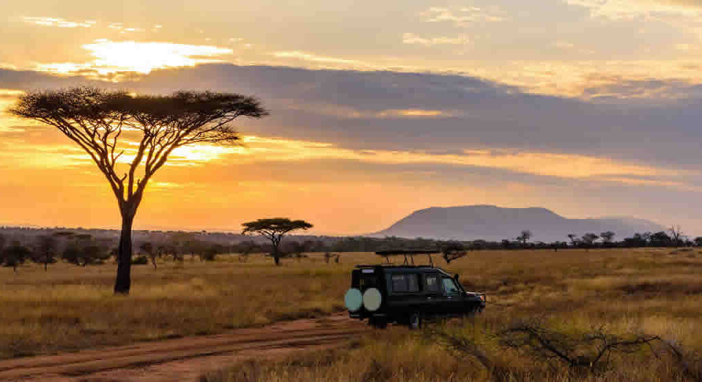 East African 4x4 Safaris and Car hire. Experience a classic African Safari in beautiful National parks in the region. Parks like Akagera National Park in Rwanda with all the big five, and the extensive Savannah grasslands in Uganda