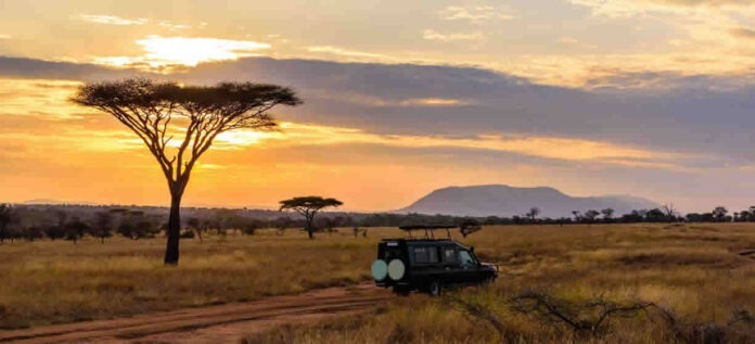 East African 4x4 Safaris and Car hire. Experience a classic African Safari in beautiful National parks in the region. Parks like Akagera National Park in Rwanda with all the big five, and the extensive Savannah grasslands in Uganda