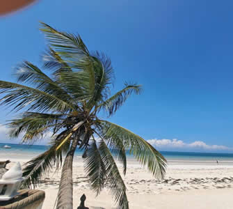 Diani Beach - Kenya Self drive Holidays and Car hire