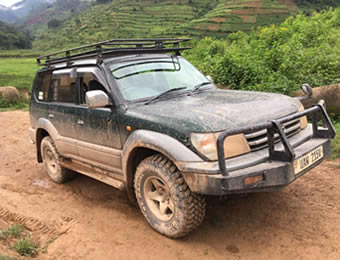 Tanzania self-drive Tours Tanzania self-drive Tours