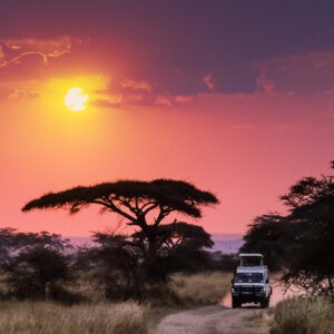 Self-drive Rwanda