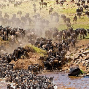 Big Safaris Tanzania - Self-drive Safaris serengeti
