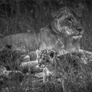 drive tanzania
