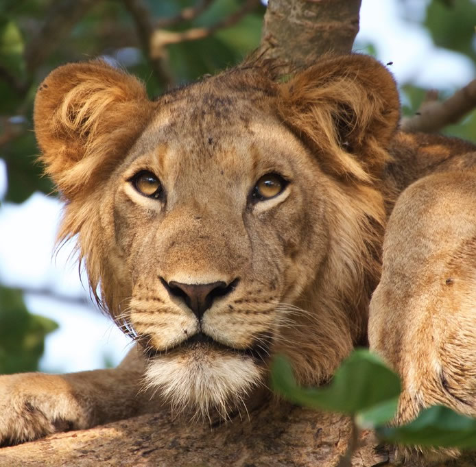 Top destinations - 4x4 Independent Safaris