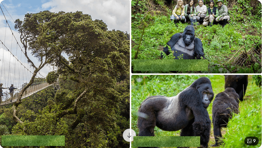 10 Days self drive trip and Car rental in Rwanda