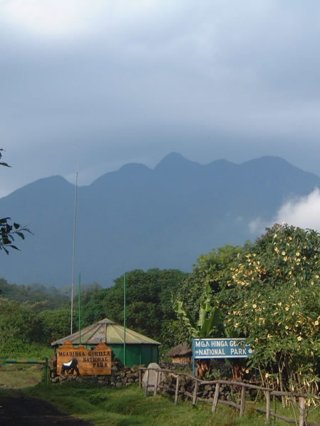 3 Days Volcanoes and Mgahinga Trip