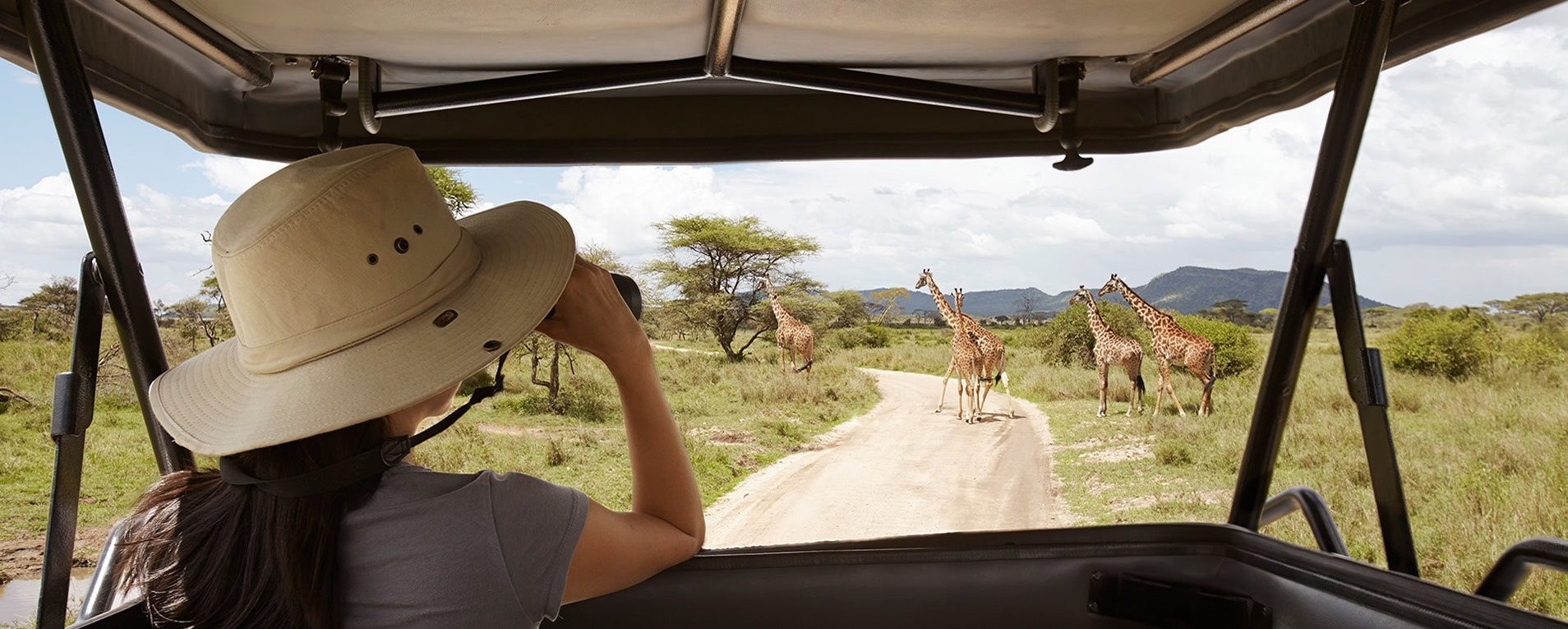 Exploring multiple safari destinations across Tanzania, Kenya, Uganda, and Rwanda