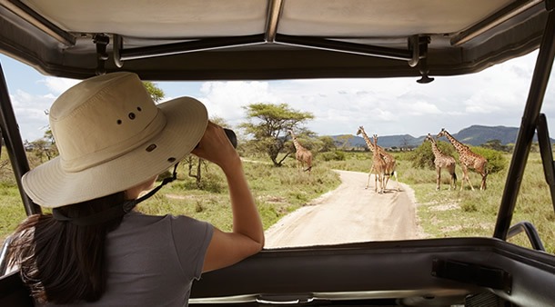 4x4 Safaris Rwanda and Uganda - Safari destinations