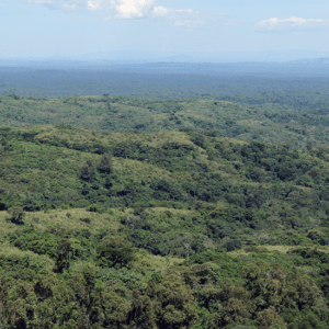 Kibale National Park seen from Isunga Lodge Isunga
