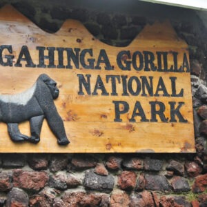 Mgahinga National Park - Uganda Gorilla trekking and budget Safaris from Rwanda