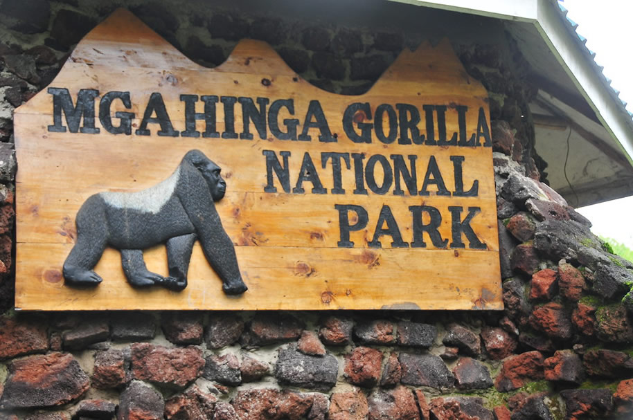 Mgahinga National Park - Uganda Gorilla trekking and budget Safaris from Rwanda