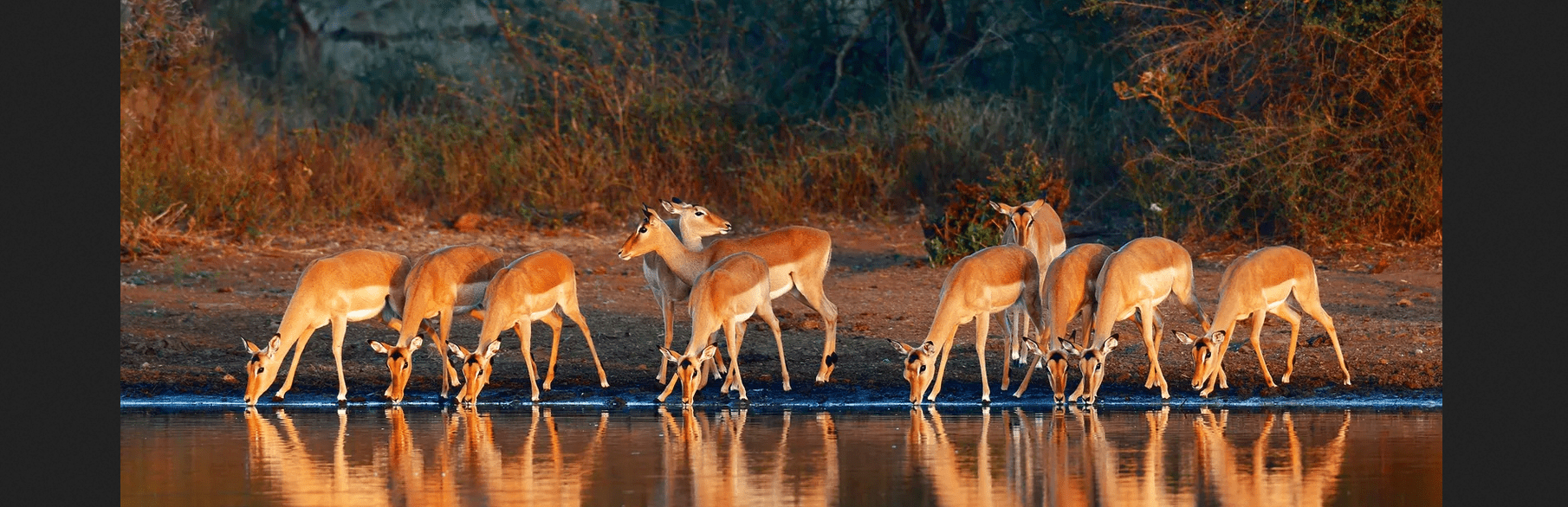 Tanzania Independent Safari Road Trip