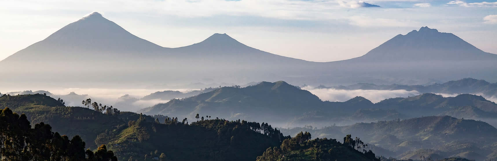 volcanoes-national-park-Rwanda Gorilla Trekking Safaris
