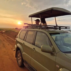 Plan your East Africa self-drive safari: 4×4 hire with camping, cross-border permits & flexible one-way rentals. Trusted local operator. Get a quote