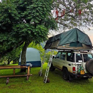 Musanze (Ruhengeri), the main gateway to Volcanoes National Park, has campsites and budget facilities where you can set up your tent after a day of trekking.