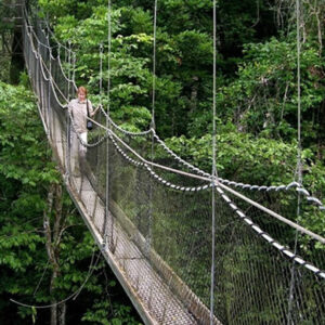 Nestled in the southwestern corner of Rwanda, adjacent to the border with Burundi, Nyungwe Forest National Park stands as one of the most extraordinary natural treasures on the African continent.