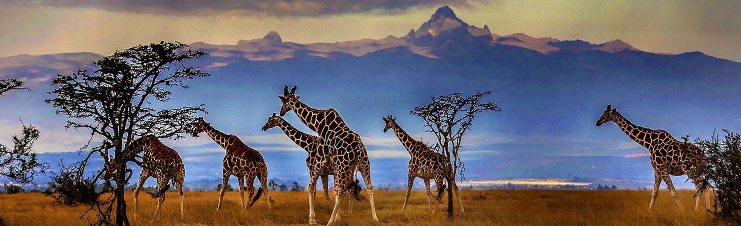 One-Way Car Rentals Across Kenya & East Africa