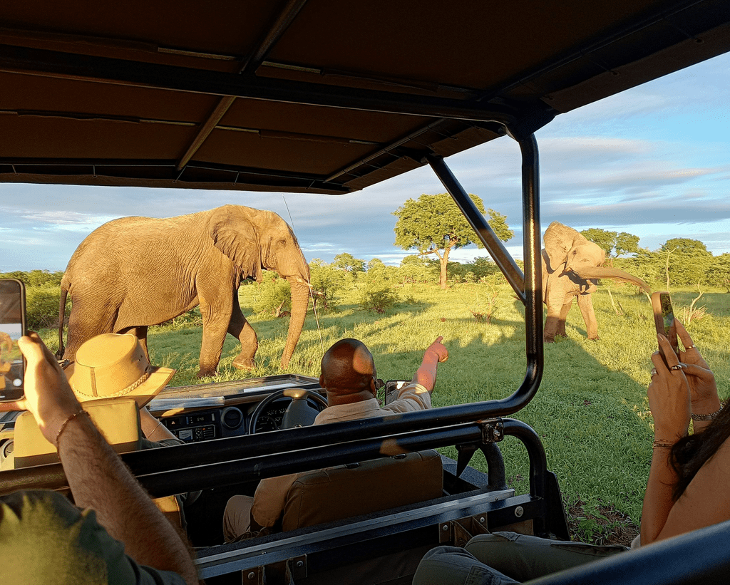 Drive from Rwanda to Queen Elizabeth National Park in Uganda. Game drives, chimp tracking & Kazinga boat trips. Affordable 4x4 hire available