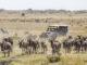 Self-drive Rwanda & Uganda in a rooftop tent 4×4 — Land Cruiser, Prado, or Hilux, fully kitted for camping safaris. See 2026 pricing and book today.