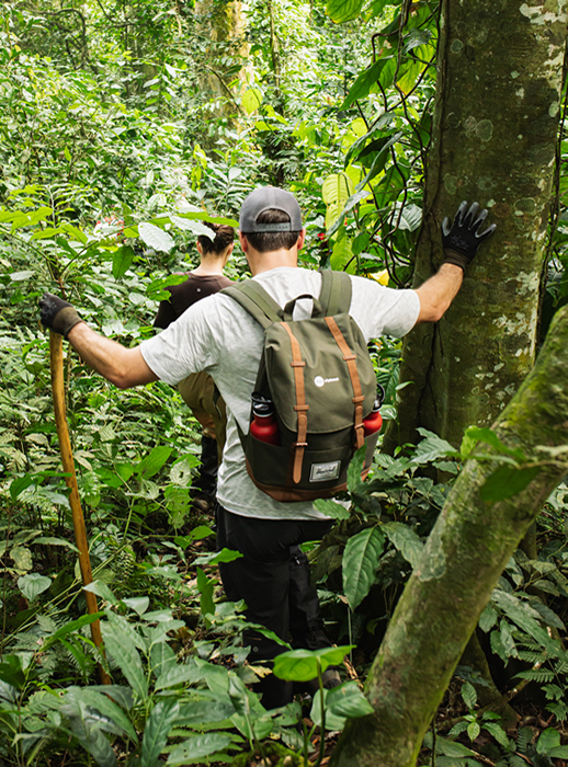 Self-drive 4×4 and safari vehicle rental in Rwanda from $45/day. Camping gear, cross-border trips to Uganda, and Kigali airport delivery. Book online