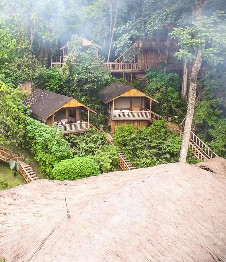 Discover the extraordinary combination of gorilla trekking and premier safari experiences across Rwanda and Uganda. Our expertly curated tours invite you to encounter East Africa's most remarkable wildlife within their pristine natural habitats.