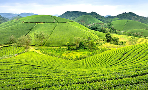6 Days Rwanda Safari