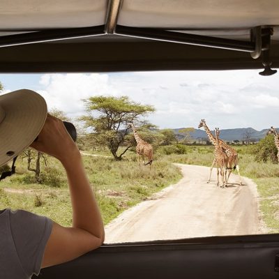 Exploring multiple safari destinations across Tanzania, Kenya, Uganda, and Rwanda