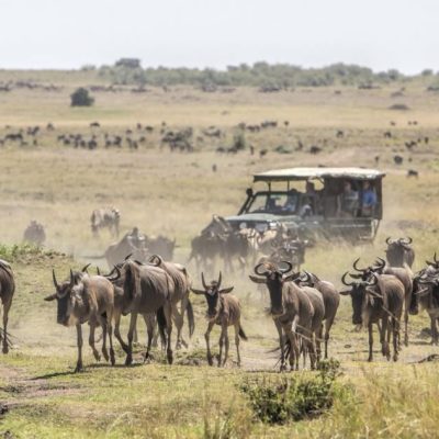 Self-drive Rwanda & Uganda in a rooftop tent 4×4 — Land Cruiser, Prado, or Hilux, fully kitted for camping safaris. See 2026 pricing and book today.