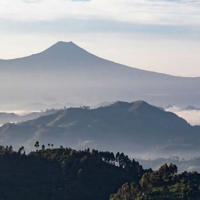 volcanoes-national-park-Rwanda Gorilla Trekking Safaris