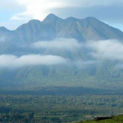 Gorilla Trekking Permit Bookings in Rwanda and Uganda